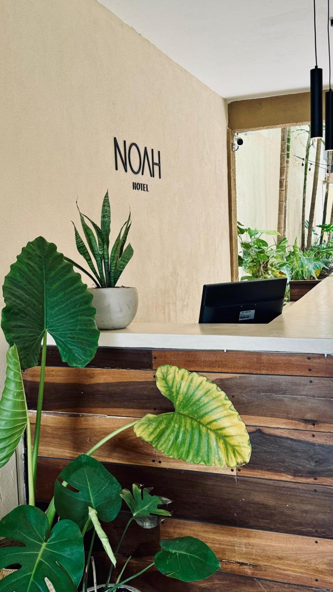 Hotel Noah 툴룸 외부 사진
